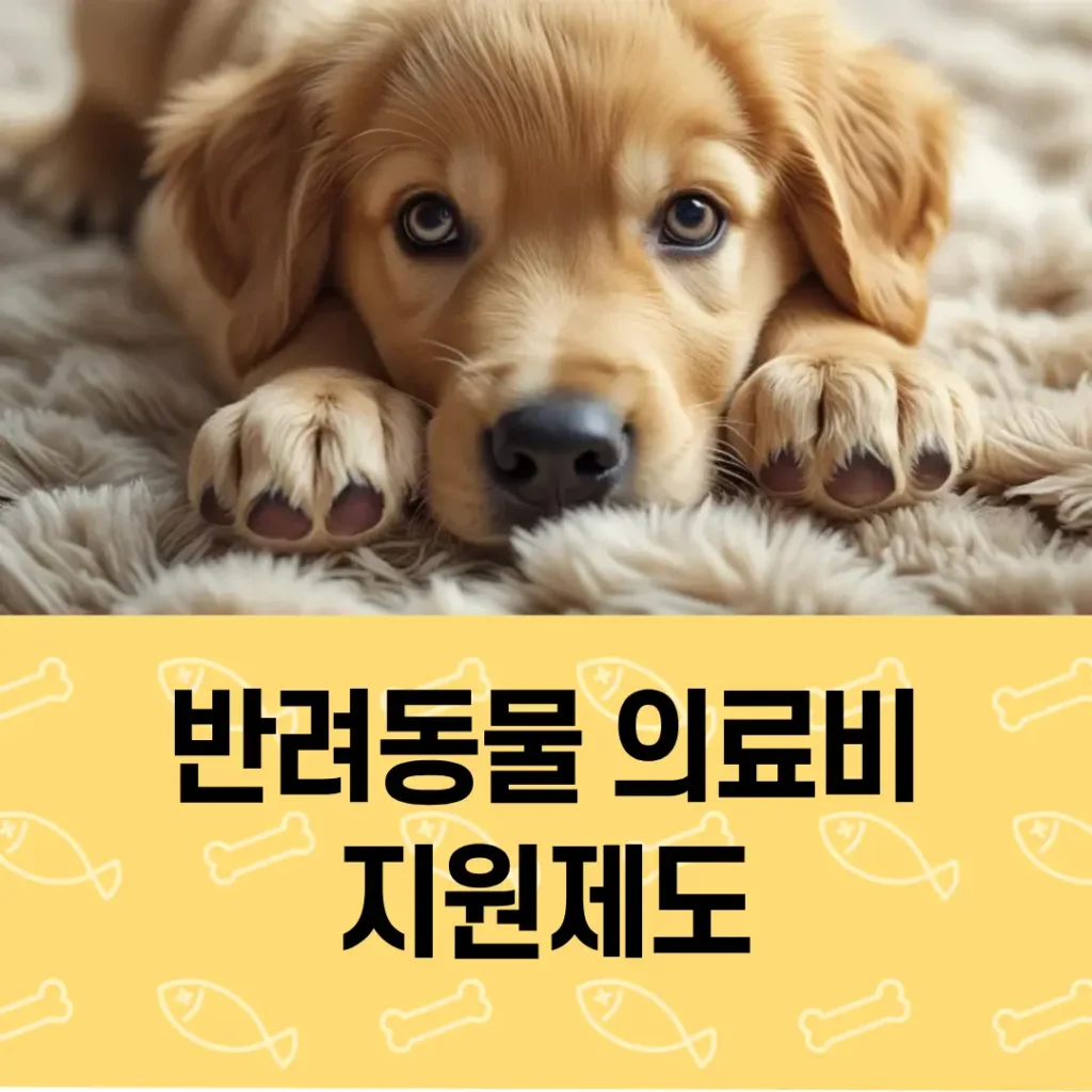 리트리버 강아지가 엎드려 보고 있고 아래쪽에 반려동물 의료비 지원제도 문구