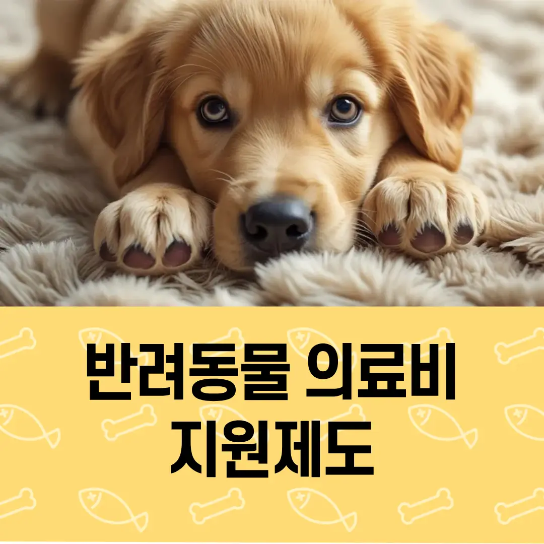 리트리버 강아지가 엎드려 보고 있고 아래쪽에 반려동물 의료비 지원제도 문구